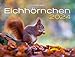 Produktbild Eichhörnchen Eintragkalender 2024: Spektakuläre Bilder der neugierigen und putzigen Nager