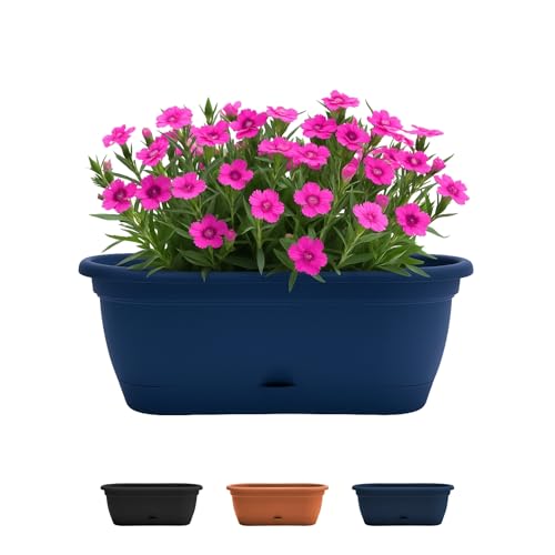 Bloem Lucca 9.25 in. L x 19 in. W x