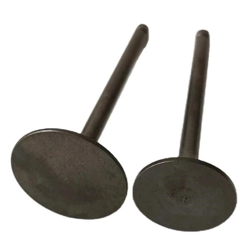 Intake Valve Fit for LH 400 Engine Part 27223 27222