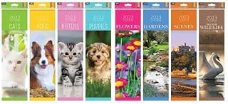 SLIM 2023 CALENDAR - One Month To View Slim Easy View Daily Schedule Maker Ideal Routine Home Office Classroom Wall Hanging