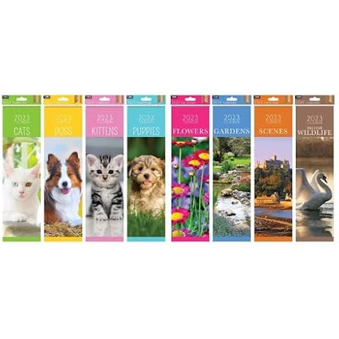 SLIM 2023 CALENDAR - One Month To View Slim Easy View Daily Schedule Maker Ideal Routine Home Office Classroom Wall Hanging Cover