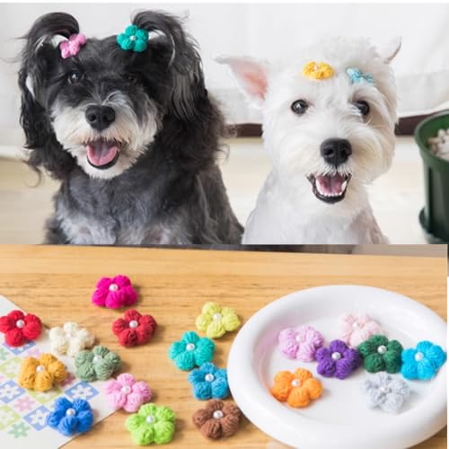 20 Stück (10 Haargummis, 10 Haarspangen) kleine Hunde-Haar-Accessoires mit Schleife, Puffblume mit Gummiband/Haarspangen für zottelige Hunde, lange Hunde, Haustiere, Teddy, Yorkie, Malteser,