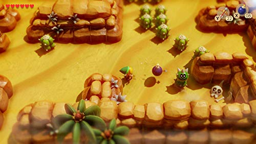 The Legend of Zelda: Links Awakening Remake Nintendo Switch