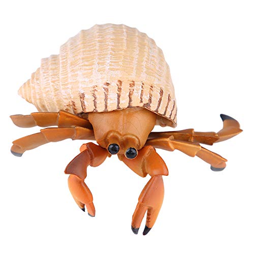 Acouto 1 Pieza de Juguete Modelo de Simulación de Cangrejo, Juguetes de Animales, Accesorio Educativo para Niños, Seguro para su Uso, Juguete de Cangrejo, Modelo de Ermitaño, de Simulación de