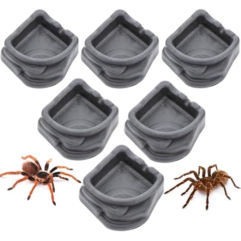 6 Pcs Spider Micro Water Bowl, Small Resin Dish for Tarantula Hermit Crab Spider Millipede Tiny Reptile (Medium: 1.65" D, 0.59" H) Cover