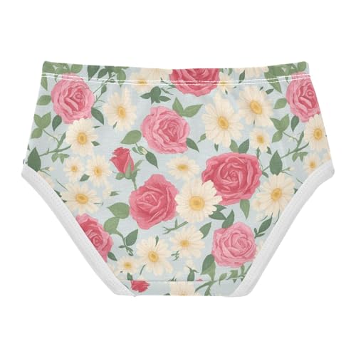 Wusikd Vintage Roses Girls' Underwear Cotton Daisies Girls Briefs Soft Toddler Underwear 2T2
