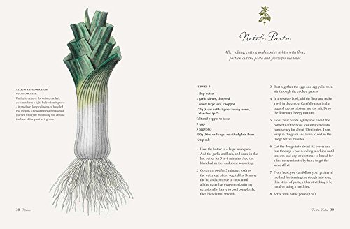 Nettle Cookbook: Recipes for Foragers and Foodies