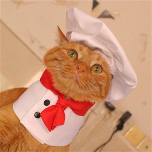 Disfraz de Chef para Perro, Set Sombrero y Collar miniatura 2