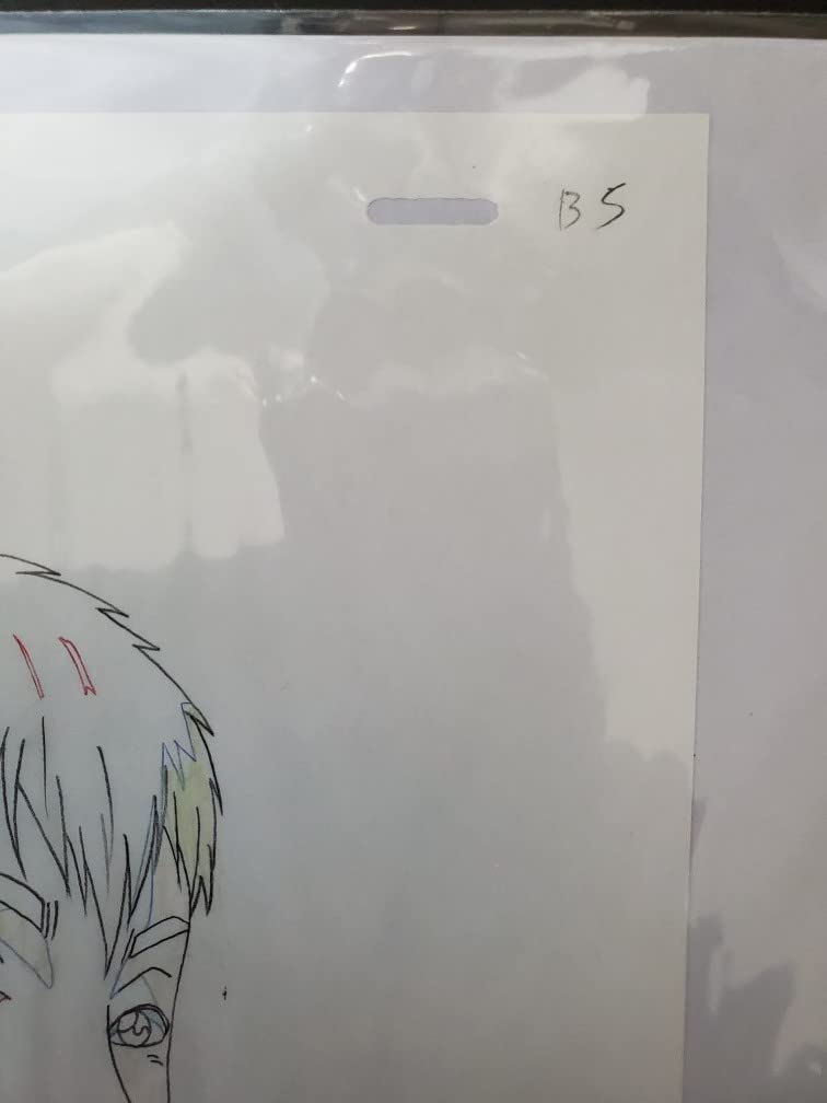 Amazon.co.jp: アニメ GTO セル画 1枚 台紙入り 綺麗 : おもちゃ