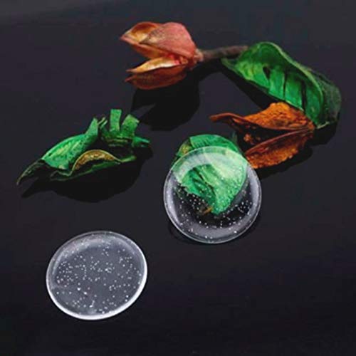 IGOGO 200-Piece Epoxy Resin Dome Stickers – Self-Adhesive Dots for DIY Crafts, Bottle Caps, Hair Bows, Scrapbooks, Jewelry & Pendants,1-Inch,Glitter
