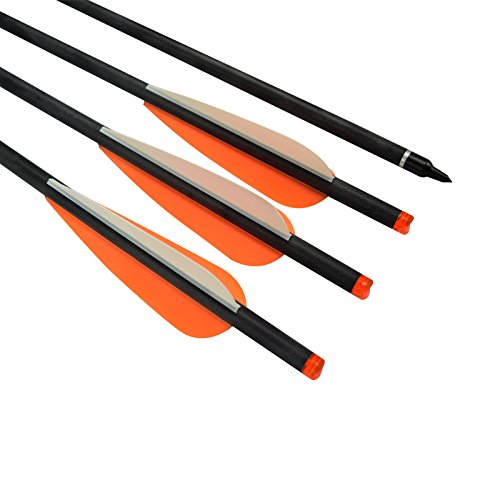 Archery 16Inch Hunting Archery Carbon Arrow Crossbow Bolts With 4" Vanes Feather And Replaced Arrowhead/Tip(Pack Of 12 #TOP1