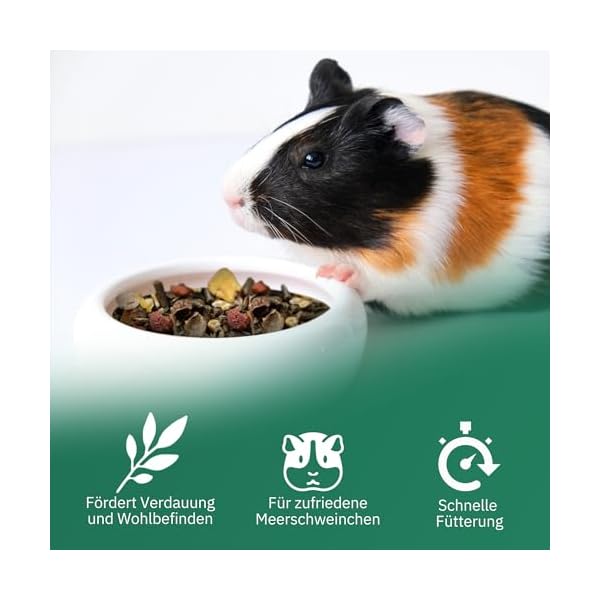Eggersmann Uncle Pet - Premium Meerschweinchenfutter - Müsli für Meerschweinchen mit der natürlichen Kraft aus Kräutern, Gemüse und Obst – Bild 5