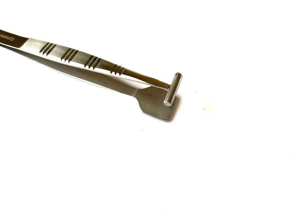 Buy Collins Expressor Forcep Expression Meibomian Gland Meibom