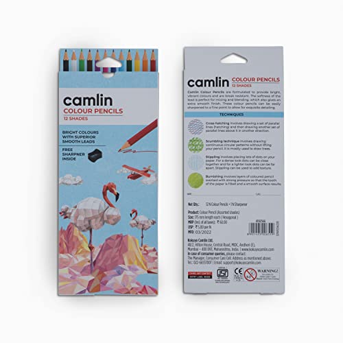 Image of Camel Camlin Kokuyo Oil Pastel (50 Shades) 4192566 Full Size Color Pencil, Assorted, 12 Pieces