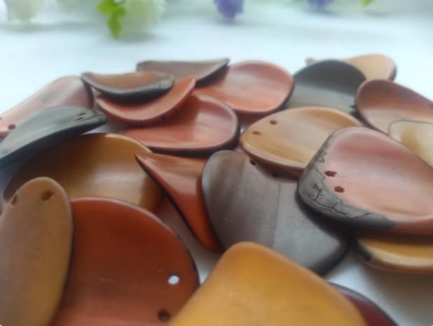 20 Brown Slices Curved - Nail Shape from Colombia Rainforest. Top drilled Two Holes. Size: 3 x 2cm R-1048