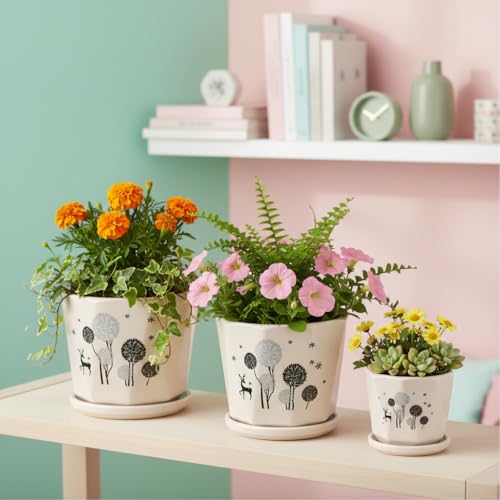 Image of Xtore Elegant Botanical Ceramic Planter Set with Drainage Saucers | Decorative Indoor Flower Pots for Living Room, Balcony, Office Desk & Tabletop Gardening (Set of 3, Ivory Beige - Planters only)