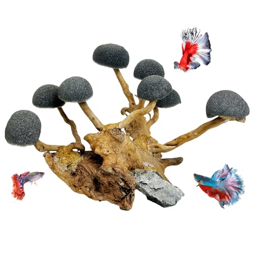 Hamiledyi Natural Aquarium Decoration Driftwood Fish Tank Decor Tree with Sponge to Place Moss...