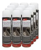 SDV Chemie Hohlraumschutz transparent 12x 500ml + 60cm Sonde