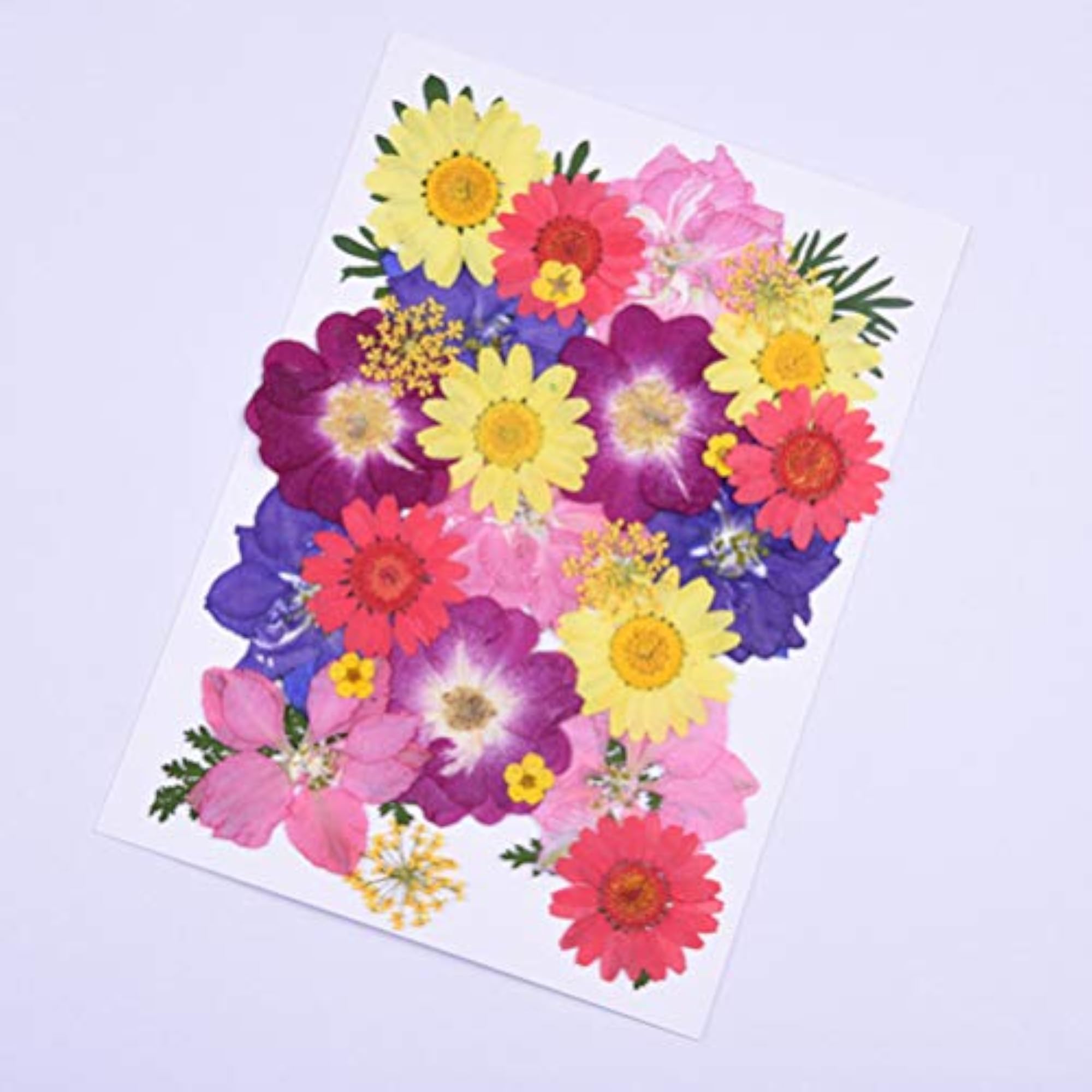 30 Pcs Dried Flowers Charms for DIY Art Crafts Decoration