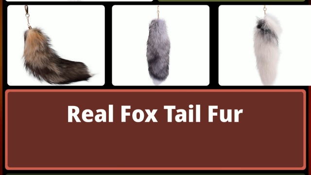 Amazon.com: QBTZJ Fluffy Faux Fur Fox Tail Keychain - Grey-White