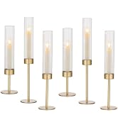 Hewory Gold Hurricane Candle Holders: Brass Candlestick Holders Set of 6 Tall Taper Candle Holder...