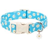 Maca Bates Blue Dasiy - Collar básico para perro con dije floral para perros medianos, collares suaves y duraderos, regalo de cumpleaños para cachorros hembras