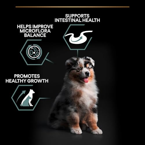 Pro Plan PURINA PRO PLAN Medium Puppy Sensitive Digestion Welpenfutter trocken, reich an Lamm, 1er Pack (1 x 3 kg)