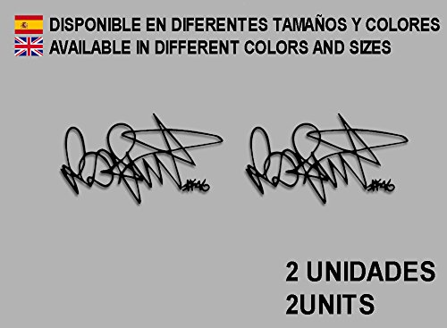 Ecoshirt 4C-WKKQ-HCHI Adesivi Moto Firma Signature...