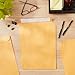 Amazon Basics Catalog Mailing Envelopes, Peel and Seal, 10x13 Inch, Brown Kraft, 100-Pack