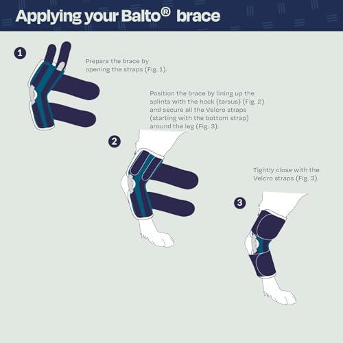 Image of Balto Hock Brace - Dog Brace with Aluminum Splints - Pre /Post Surgery Helps Support Arthritis and Unstable Joints - Back Leg Support (Large)