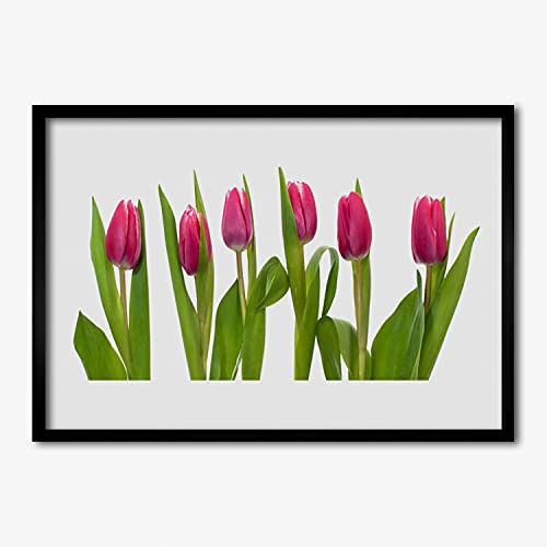 Décoration murale salon fleurs | Affiche encadrée tulipes chic