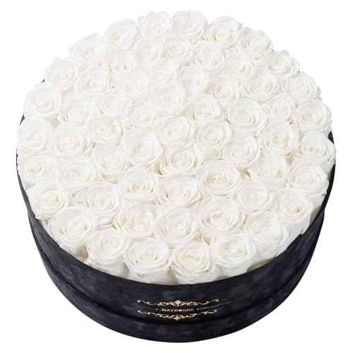 Gifts for Women – NATROSES 60 Preserved Roses in Luxury