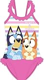 E plus M Bluey & Bingo Mädchen Badeanzug und Strandtuch – Sommer Bademode Einteiler für Kinder – Größen 92 bis 122 ideal für Strand Schwimmbad (DE/NL/SE/PL, Numerisch, 104, 110, Regular, rosa)