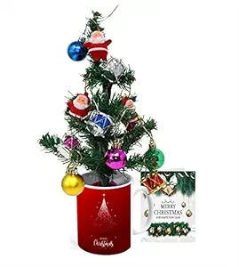 NIYA - LIGHT UP LIFE 240LED 23 Meter Led Rice Lights with 8 Flashing for Christmas, Wedding, Party, Home, (Rice Warm White - Pack of 1) (Modern, NL-62, Plastic, 23 Meter, 1, NL-62)