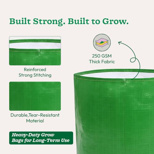 Image of UGAOO Grow Bags 12x12 Inch, Set of 6, 250 GSM Heavy-Duty HDPE Plant Bags for Terrace Gardening, Home Garden, Vegetables & Plants, UV-Resistant Reusable Green Gardening Bags