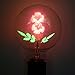 Damar 47071 - "Flower Rose" G25 Medium Screw Base (05620A)
