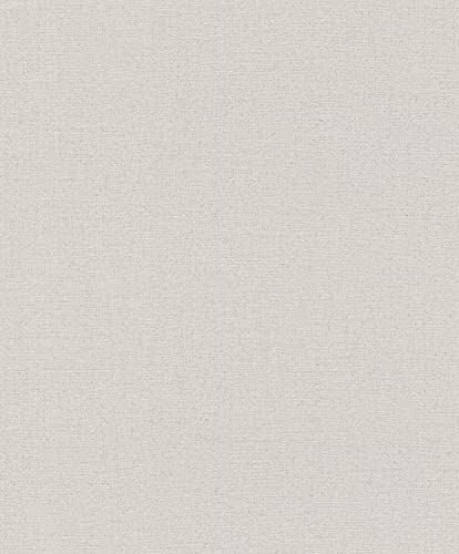 Rasch Tapeten Vliestapete (universell) Grau 10,05 m x 0,53 m Andy Wand 650556