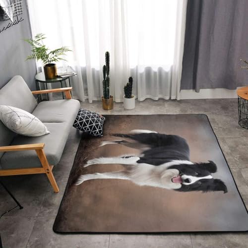 Tapis de salon imprimé Border Collie grand format pour protéger le sol des griffures