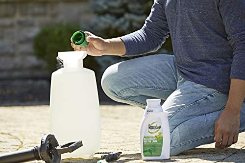 Roundup For Lawns2 Concentrate (Northern), 32 Oz. - Lawn Safe Weed Killer For Northern Lawns, Kills Crabgrass, Dandelion, Clover And Yellow Nutsedge - Kills Weeds, Not The Lawn #TOP4