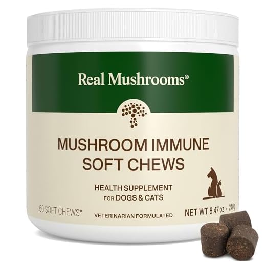 Real Mushrooms Soft Chews for Pets