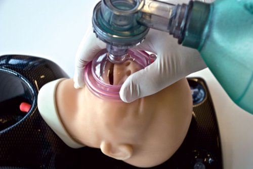 Image of JR10001 AirSim Baby Airway Model for Paediatric Airway Management Training