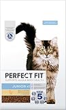 PERFECT FIT Junior Trockenfutter für junge Katzen unter 1 Jahr - Huhn, 7 kg (1 Beutel)