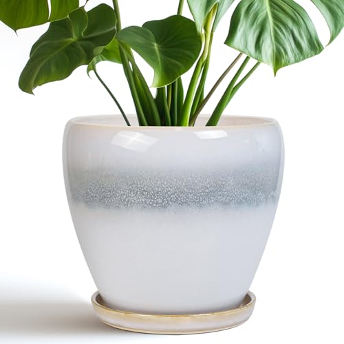 EPFamily Ceramic Pots for Plants - 8 Inch Planter with Drainage Hole and Saucer, Round Flower Pot for Indoor Outdoor Plants, Decorative Planter, House Patio Decor, Housewarming Gifts, White-Grey