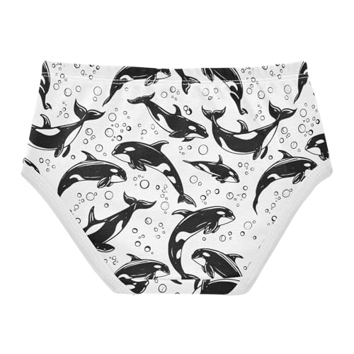 Ocean Killer Whale Black and White Toddler Girls's Underwear 2T 23031822