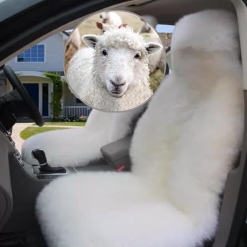 ԗp[gJ[V[gJo[ԗptgV[ĝ߂̖{̃[gV[gJo[Aėp^Cvi1j(Ivory)