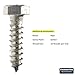 Fastener Pro 1/4 x 1-1/4-Inch Hex Head Lag Screw Kit, 18-8 (304) Stainless Steel, 10-Pack (10 Lag Screws + 10 Flat Washers)