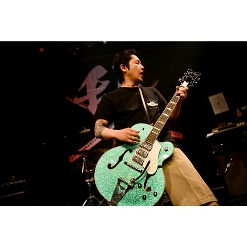 Gretsch / G6136T Kenny Falcon II with String-Thru Bigsby Ebony Fingerboard Early Summer Green Sparkle