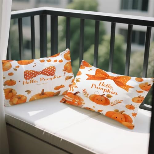 NbVJo[ 80x100 cm 2 Zbg ` xxbg Jo[ F \t@[ NbV t[c ʃfUC t  H ~   zc BWbp[ I[V[Y s[P[X \t@  蕨 w-104