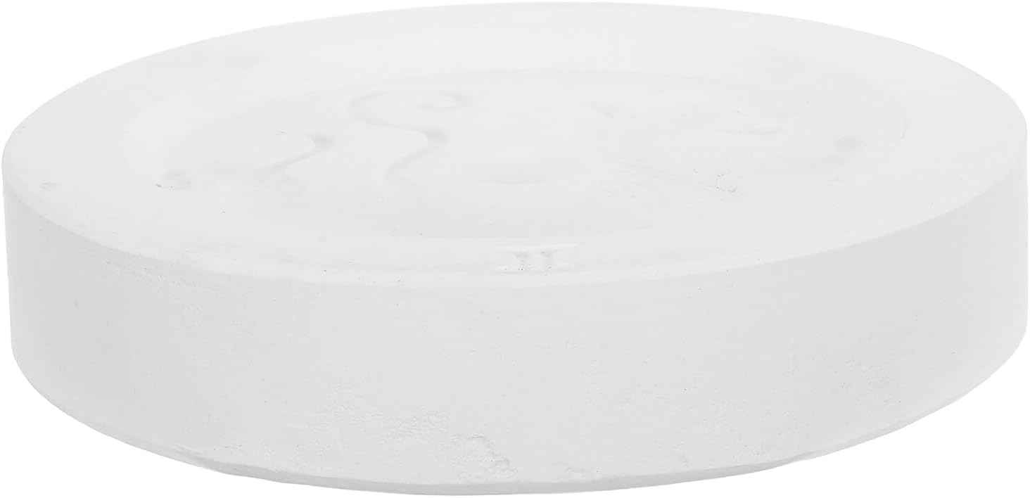 Clay Casting Mold for Pottery Learning, Gypsum Tiger Form