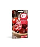 Tomate Red Cherry - 1 g. Solanum lycopersicum. Para siembra en semillero